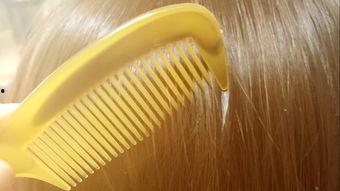 成人头发钩织视频大全,成人头发钩织视频大全解析